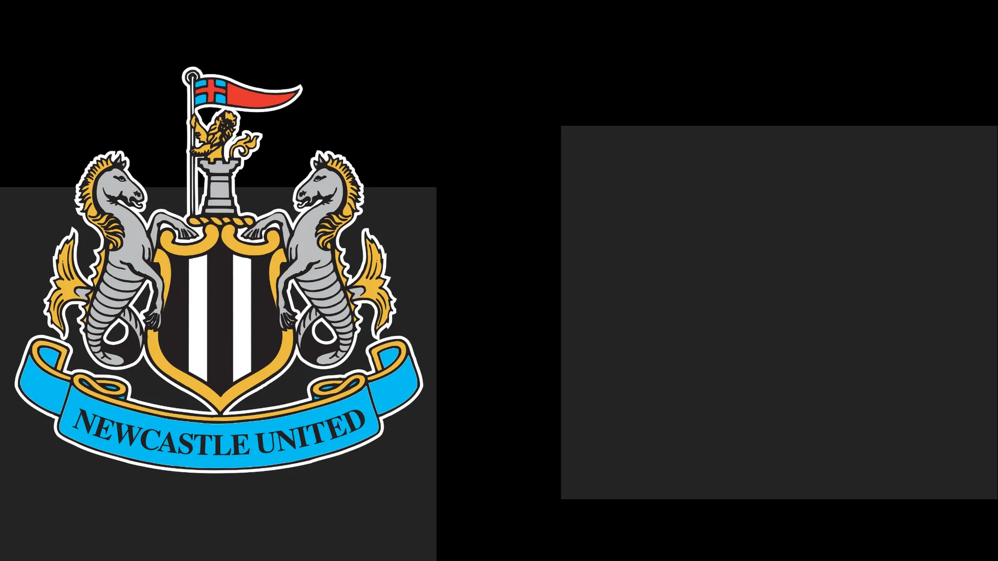 NUFC Extend Formal Apology to Fans Amid Matchday Issue