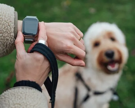 The Honest Scoop Concerning Fitness Trackers? Daily Existence Feels Fuller Lacking a Hectoring Gadget on Your Arm